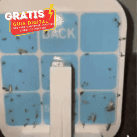 Kit Atrapa Insectos 💥 ULTRA BIONIC 🦟 (GRATIS: 5 Láminas adhesivas)