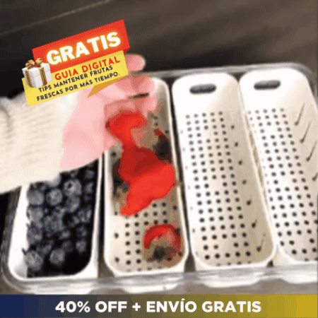 Organizador Hermético de Alimentos ⚡️ POWER PRO RESIST 🍓 (4 compartimentos extraíbles)