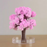 Árbol Mágico 🌳 SAKURA DELUXE 🌟 (Florece en 24 horas)