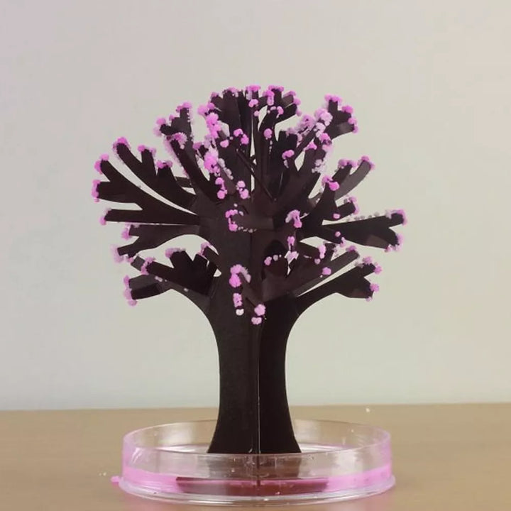 Árbol Mágico 🌳 SAKURA DELUXE 🌟 (Florece en 24 horas)