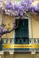 Kit plantación flores🍃  WISTERIA Árbol Chino🌷 ( Incluye semillas, abono, pala)