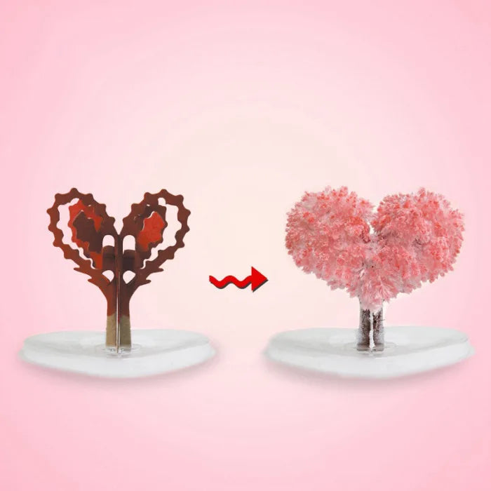 Árbol Mágico 🌳 SAKURA DELUXE 🌟 (Florece en 24 horas)