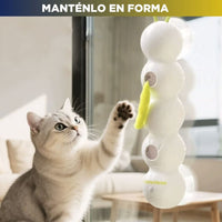 IMPORTADO: Juguete automático Oruga para gato 🐛FUNNYCat 😸 (Batería recargable USB integrada)