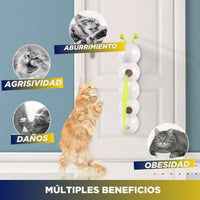 IMPORTADO: Juguete automático Oruga para gato 🐛FUNNYCat 😸 (Batería recargable USB integrada)