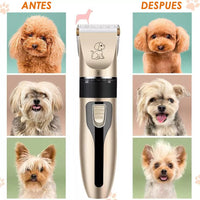 Kit peluquería mascota 🐶 PET LOOK PRO✂️ (12 piezas fáciles de usar para un look profesional)