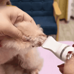 Kit peluquería mascota 🐶 PET LOOK PRO✂️ (12 piezas fáciles de usar par – castitienda.com