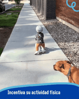 Bici de Impulso 4 ruedas 🚲 Baby Balance 👶🏼 (Aprendizaje y diversión desde los 12 meses)