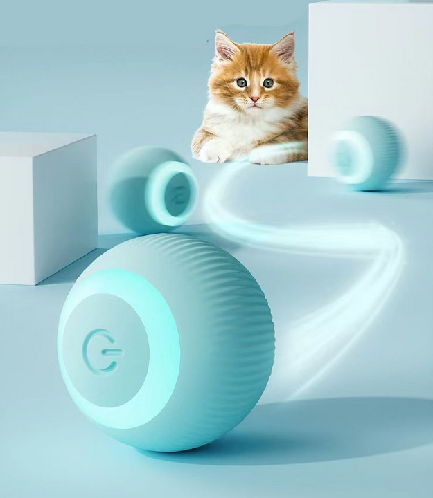Super bola mágica para gatos 🐱 BALLCAT 🐈‍⬛