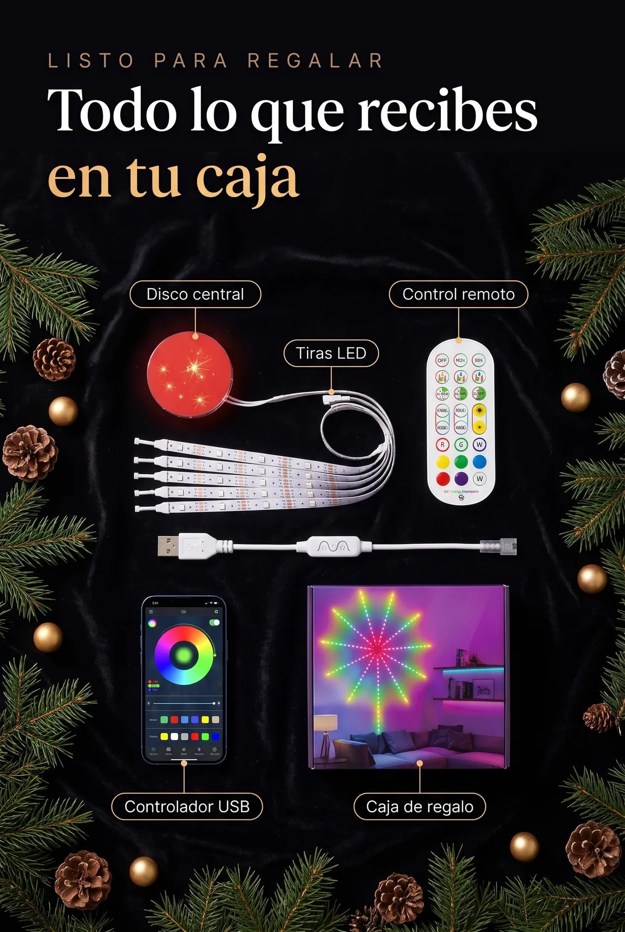Todo lo que recibes en tu caja